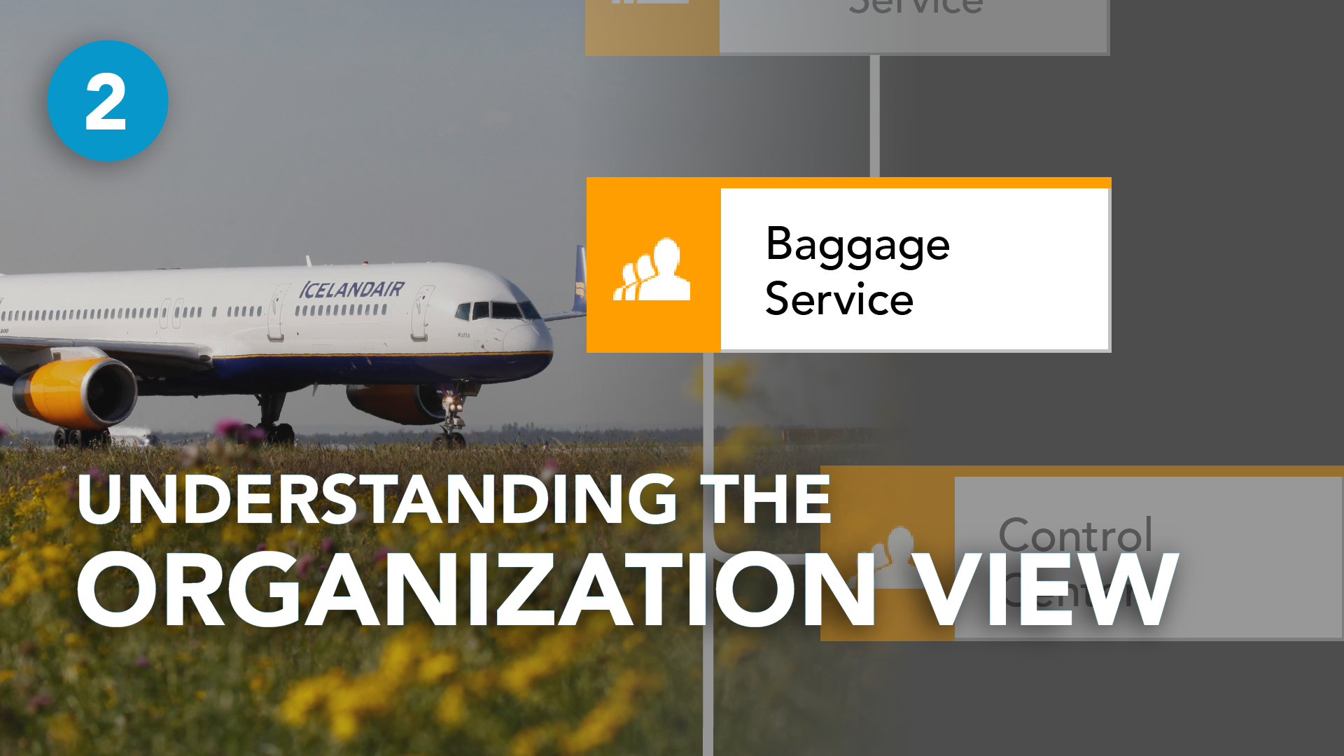 Understanding the ORGANIZATION VIEW with ARIS
