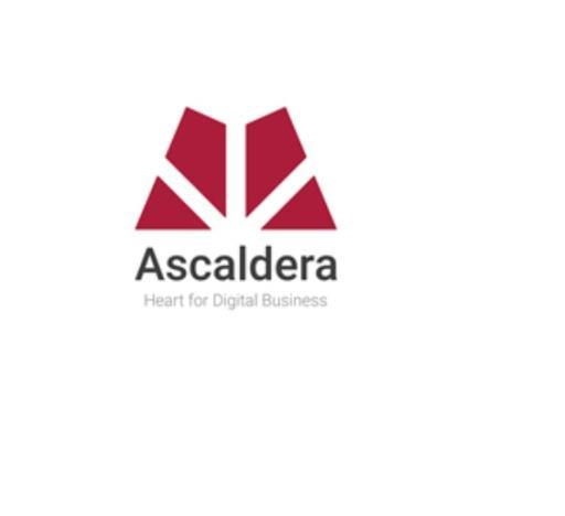 Profile picture for user Ascaldera